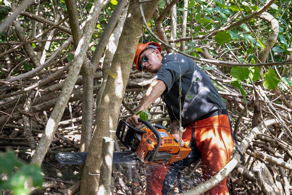MCBH Marines use their green thumb to restore wetland wildlife sanctuary