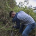 MCBH Marines use their green thumb to restore wetland wildlife sanctuary