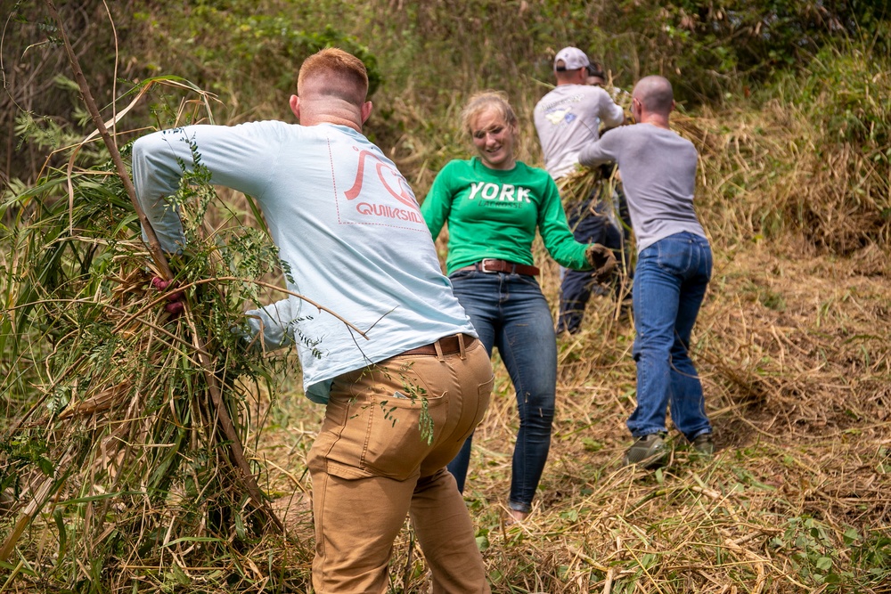 MCBH Marines use their green thumb to restore wetland wildlife sanctuary