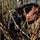 Balikatan 2019: Beach Assault with 3/6 A military service member, identifiable by MARPAT (Marine pattern) digital camouflage uniform, is concealed within tall dry grass vegetation. The individual is in a prone or low-crouched position holding what appears to be an assault rifle, suggesting a tactical concealment or observation posture. The close-up framing through the grass emphasizes the camouflage and concealment technique being employed.