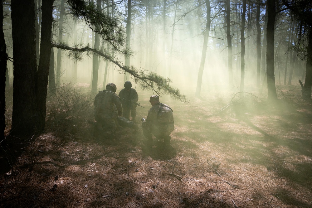 254th trains next generation of squad leaders and platoon sergeants