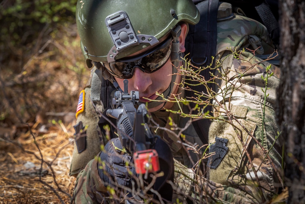 254th trains next generation of squad leaders and platoon sergeants