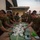 Balikatan 2019: Boodle Fight with the Philippine Marine Corps A group of military personnel in olive/green uniforms are gathered around a long outdoor table sharing a communal meal served on banana leaves. The meal appears to consist of rice and grilled or cooked fish arranged in a traditional boodle fight style. The setting appears to be a military base or outdoor facility at dusk.