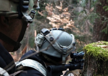 Smoke, Fire, Silence and Fury: a look into opposing forces