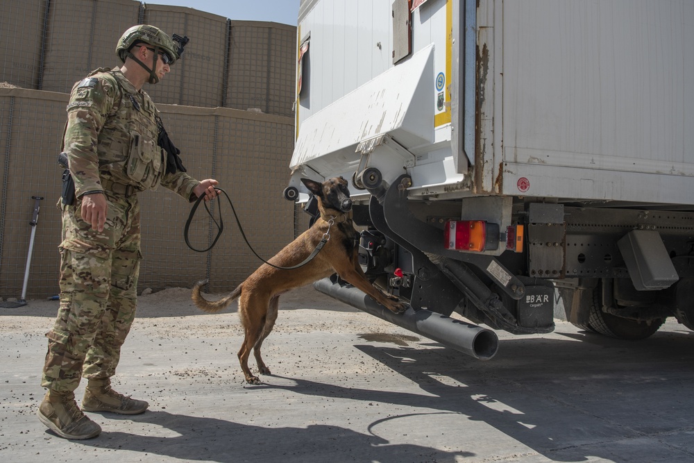 386 ESFS Defenders Provide Security at Al Taqaddum Air Base, Iraq