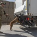 386 ESFS Defenders Provide Security at Al Taqaddum Air Base, Iraq