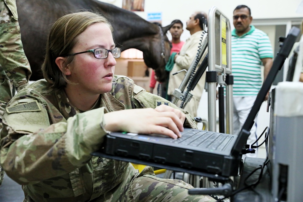 64th Brigade Support Battalion Supports Kuwait Ministry of Defense Equestrian Program