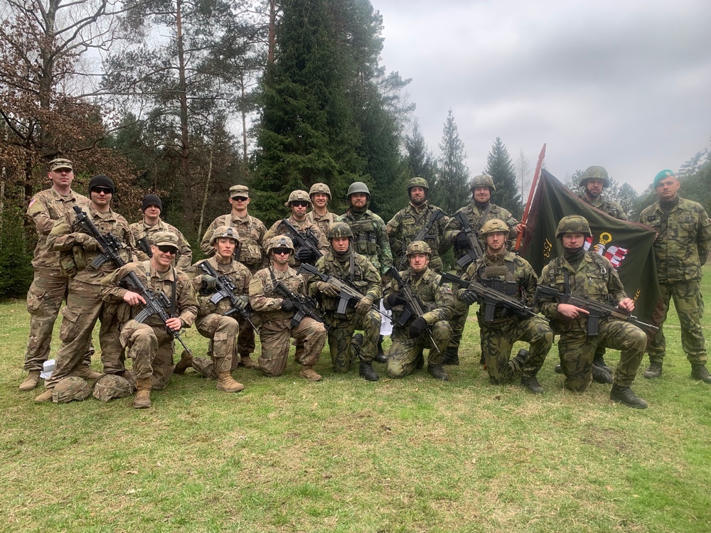 ‘Diehard’ Sappers represent in Poland