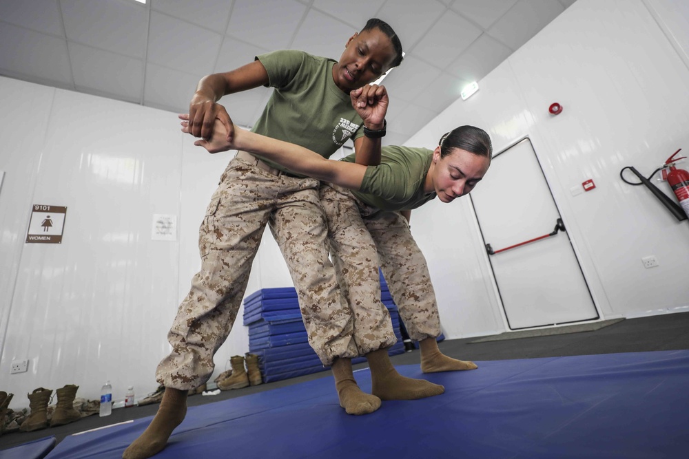 Female Engagement Team Jordan Detainee Handling Training