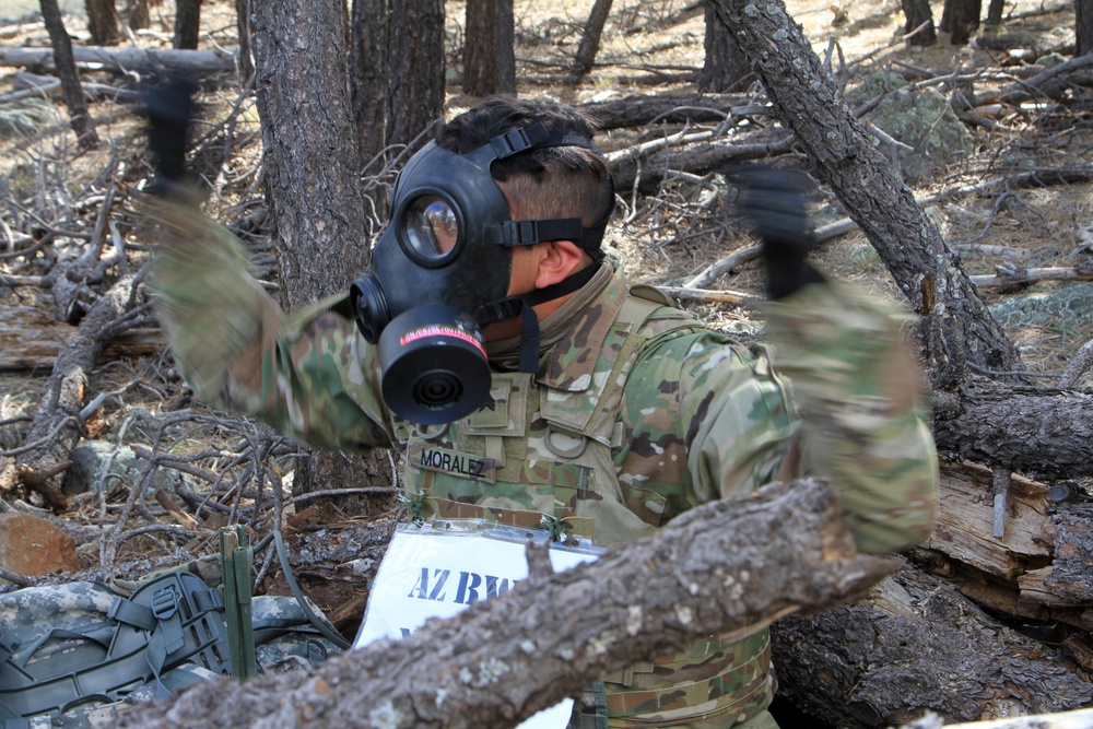 2019 Arizona National Guard Best Warrior Competition