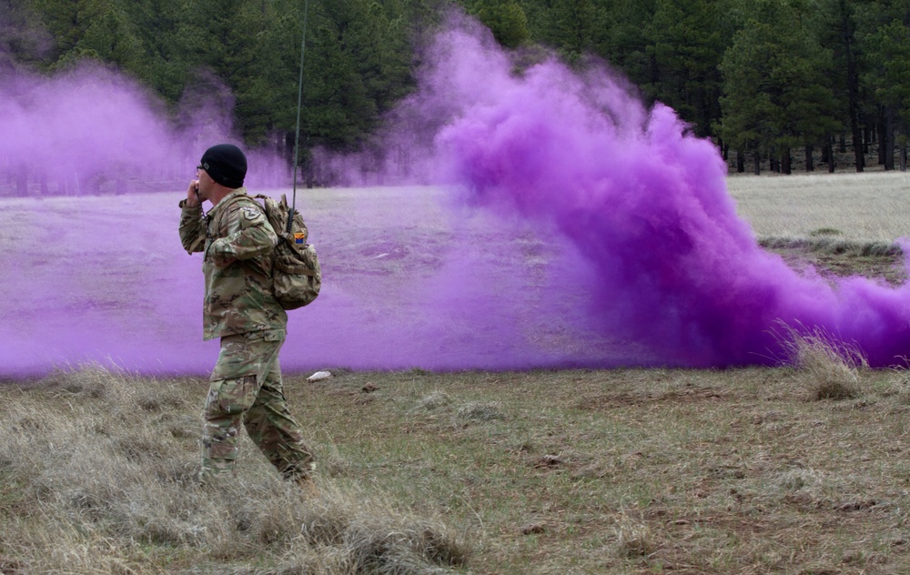 2019 Arizona National Guard Best Warrior Competition