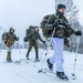 2nd ANGLICO participates in Arctic Movement, Survival Course