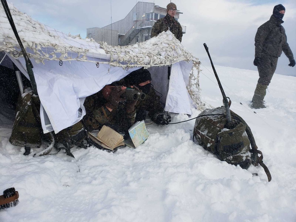 2nd ANGLICO participates in Arctic Movement, Survival Course