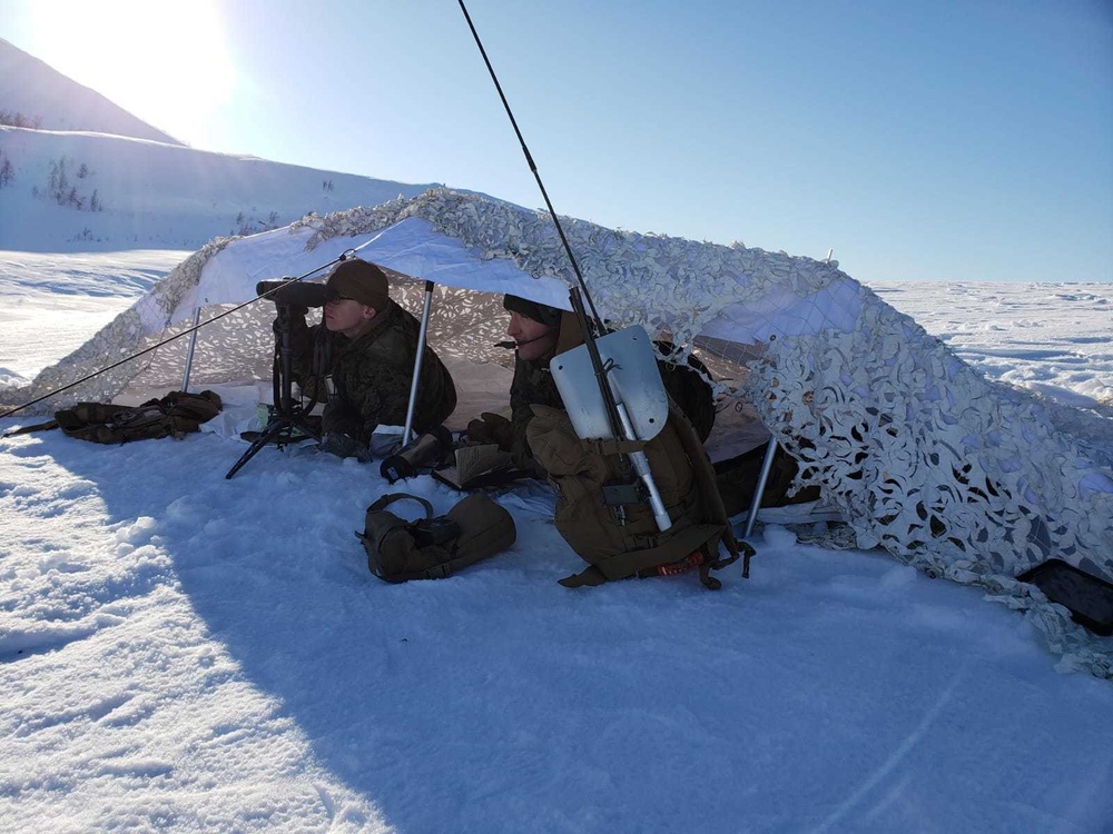 2nd ANGLICO participates in Arctic Movement, Survival Course