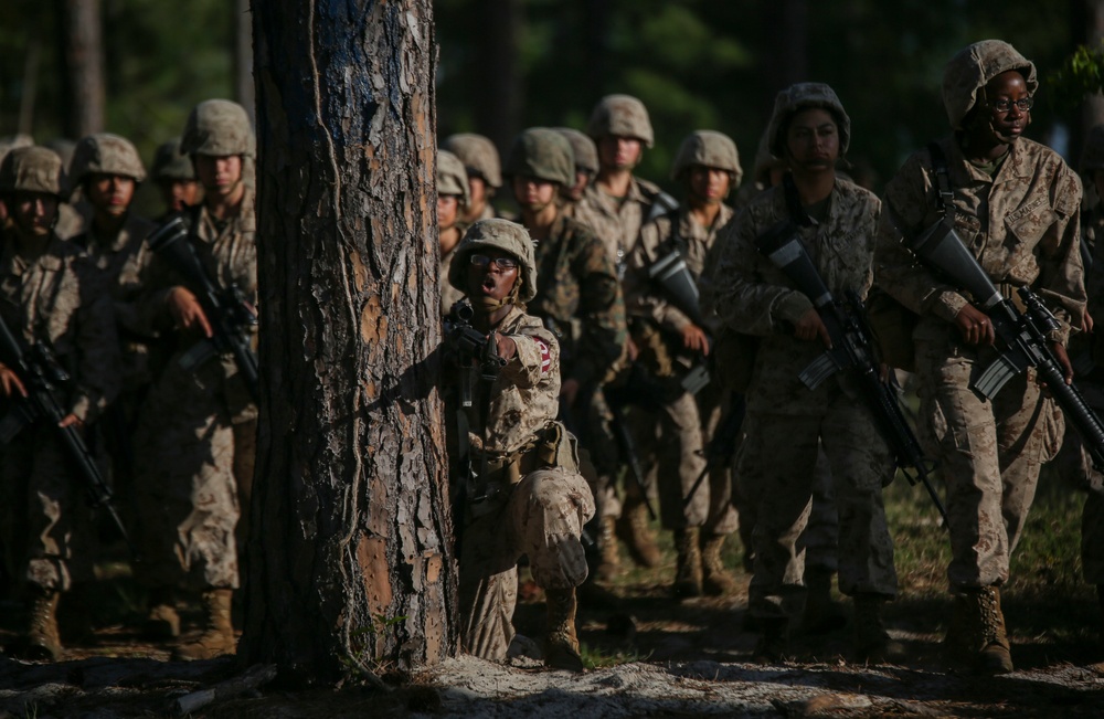 Papa Co. Basic Warrior Training - April 17, 2019