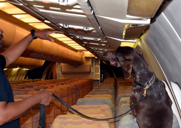 Federal agencies kickoff working dog collaboration effort for stronger, sustainable future