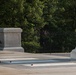 Tomb of the Unknown guard completes final walk, places a single rose at each crypt