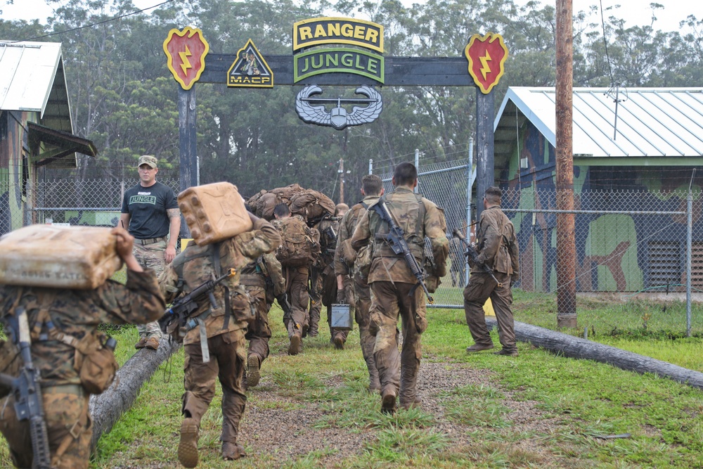Soldiers participate in Jungle Skills Course