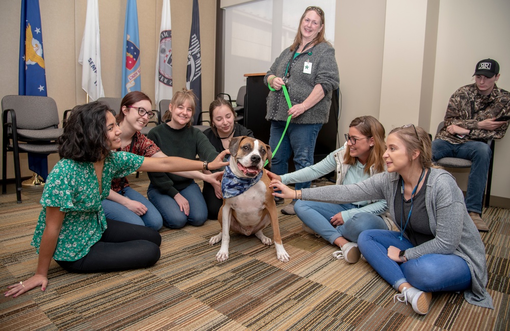 PAWS for People help AFMES be resilient