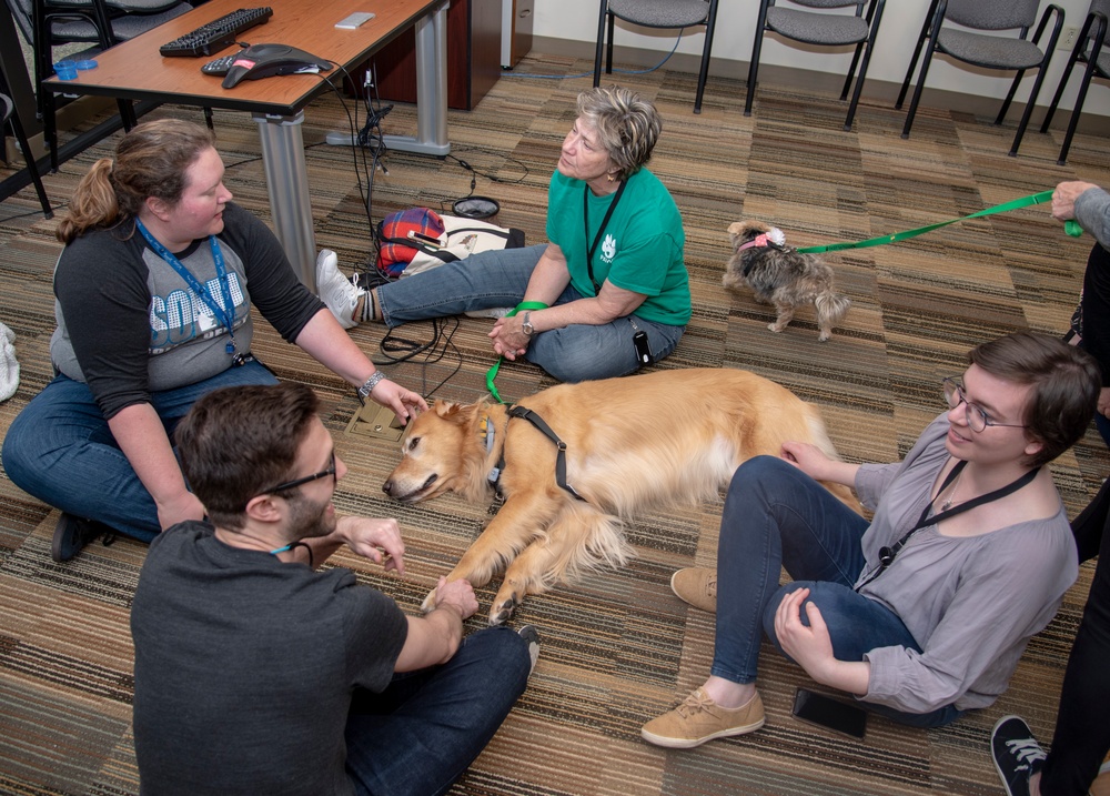 PAWS for People help AFMES be resilient