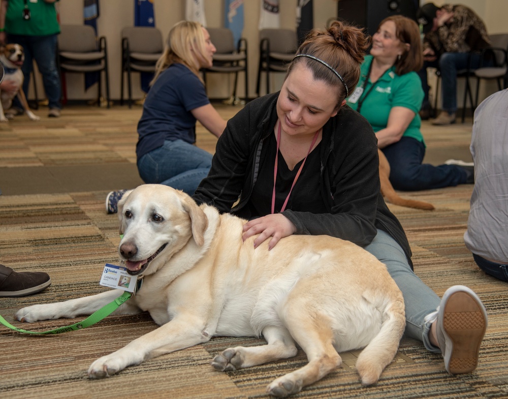 PAWS for People help AFMES be resilient