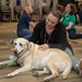 PAWS for People help AFMES be resilient