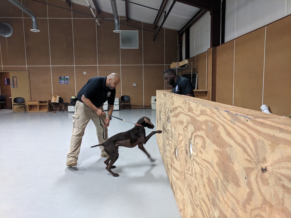 Government-wide working dog team kickoff