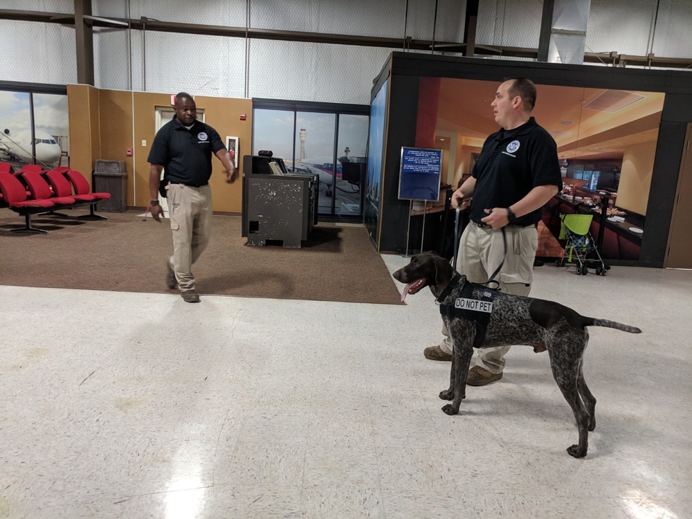 Government-wide working dog kickoff meeting