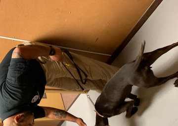 Government-wide working dog kickoff meeting