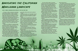 Navigating the Marijuana Landscape in California