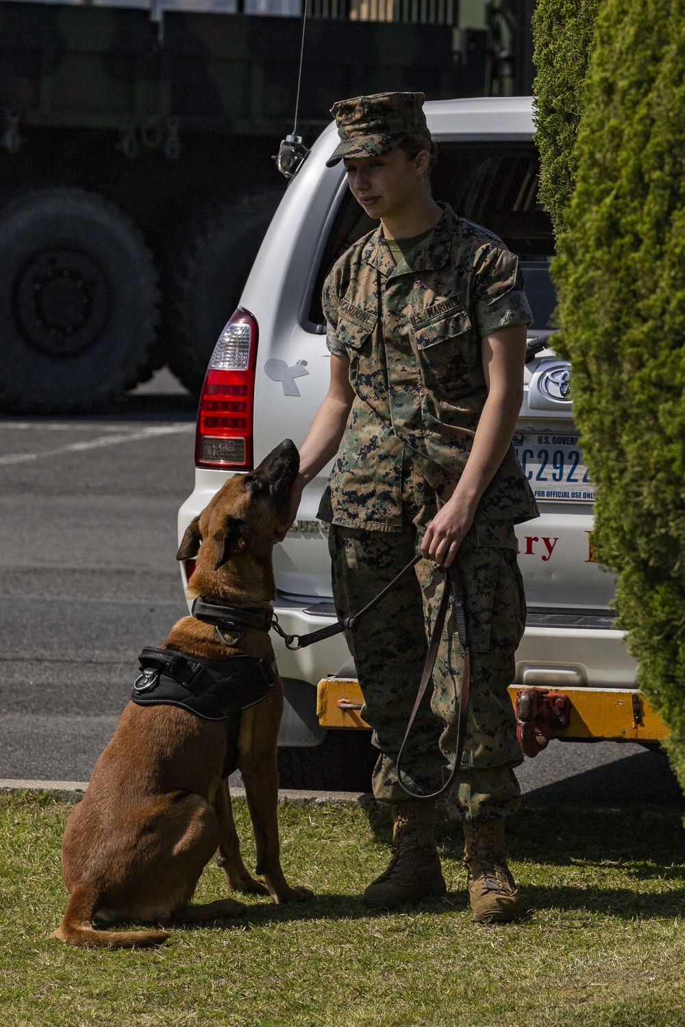 Devil pups; MAG-12 hosts junior recruit day