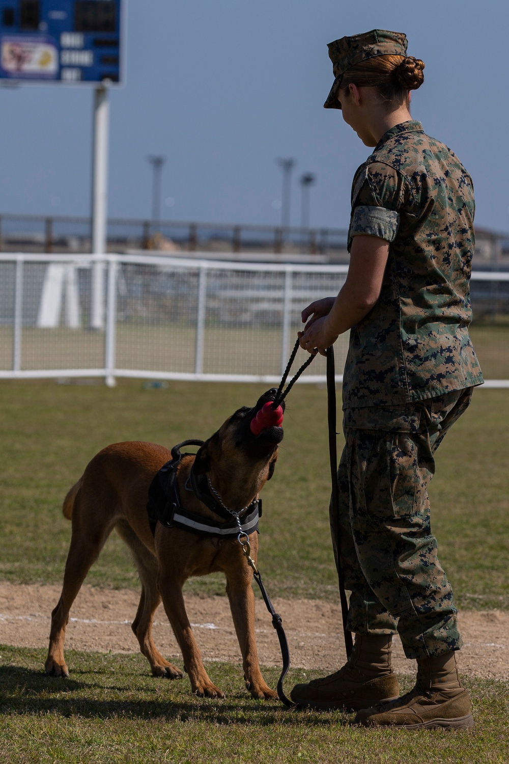 Devil pups; MAG-12 hosts junior recruit day