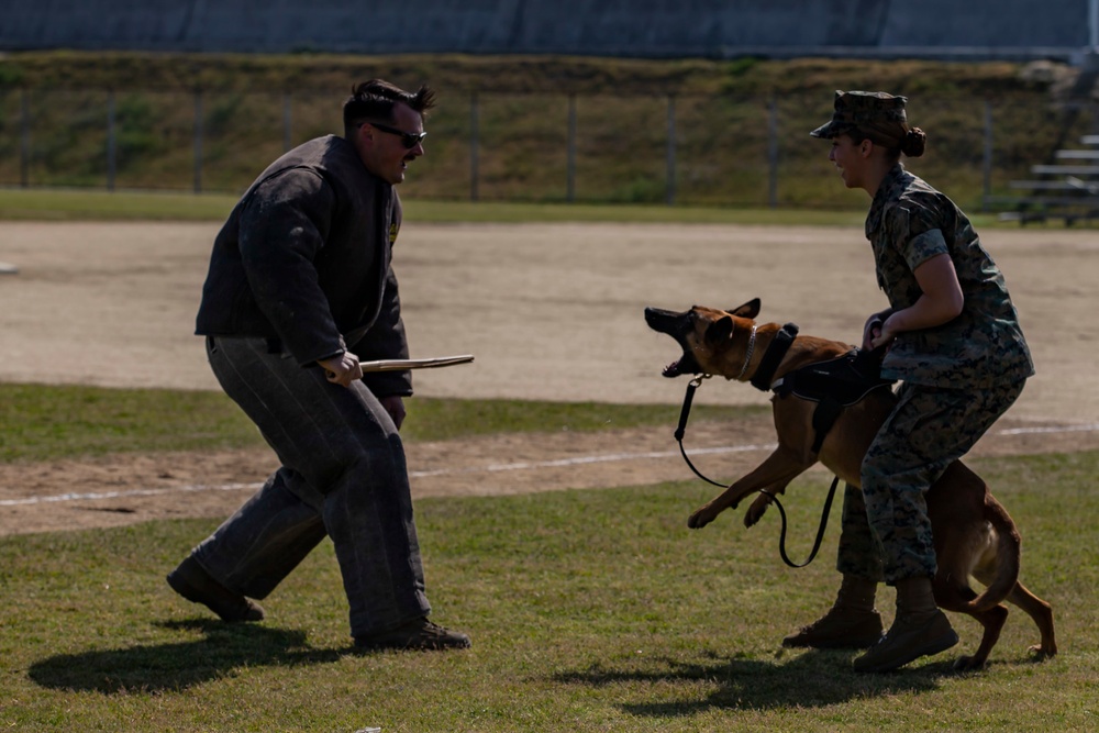 Devil pups; MAG-12 hosts junior recruit day