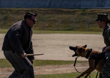 Devil pups; MAG-12 hosts junior recruit day