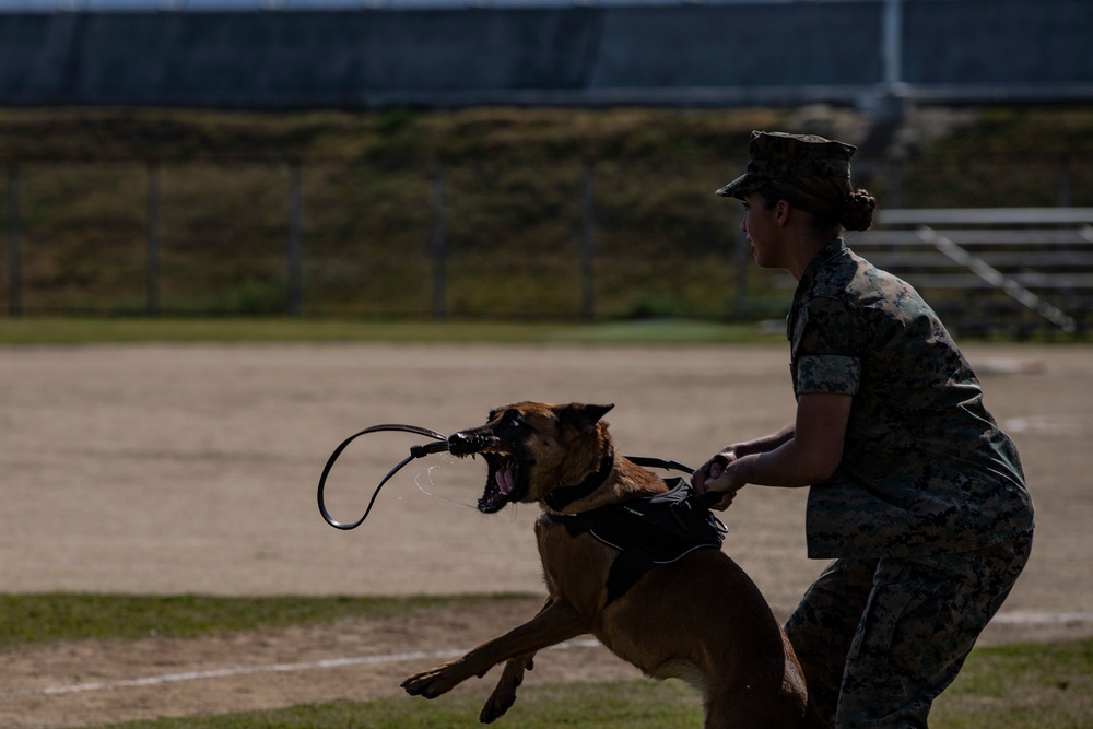 Devil pups; MAG-12 hosts junior recruit day