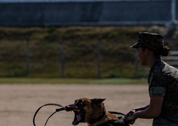 Devil pups; MAG-12 hosts junior recruit day