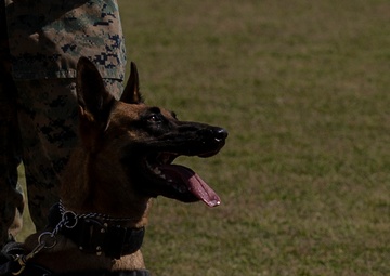 Devil pups; MAG-12 hosts junior recruit day