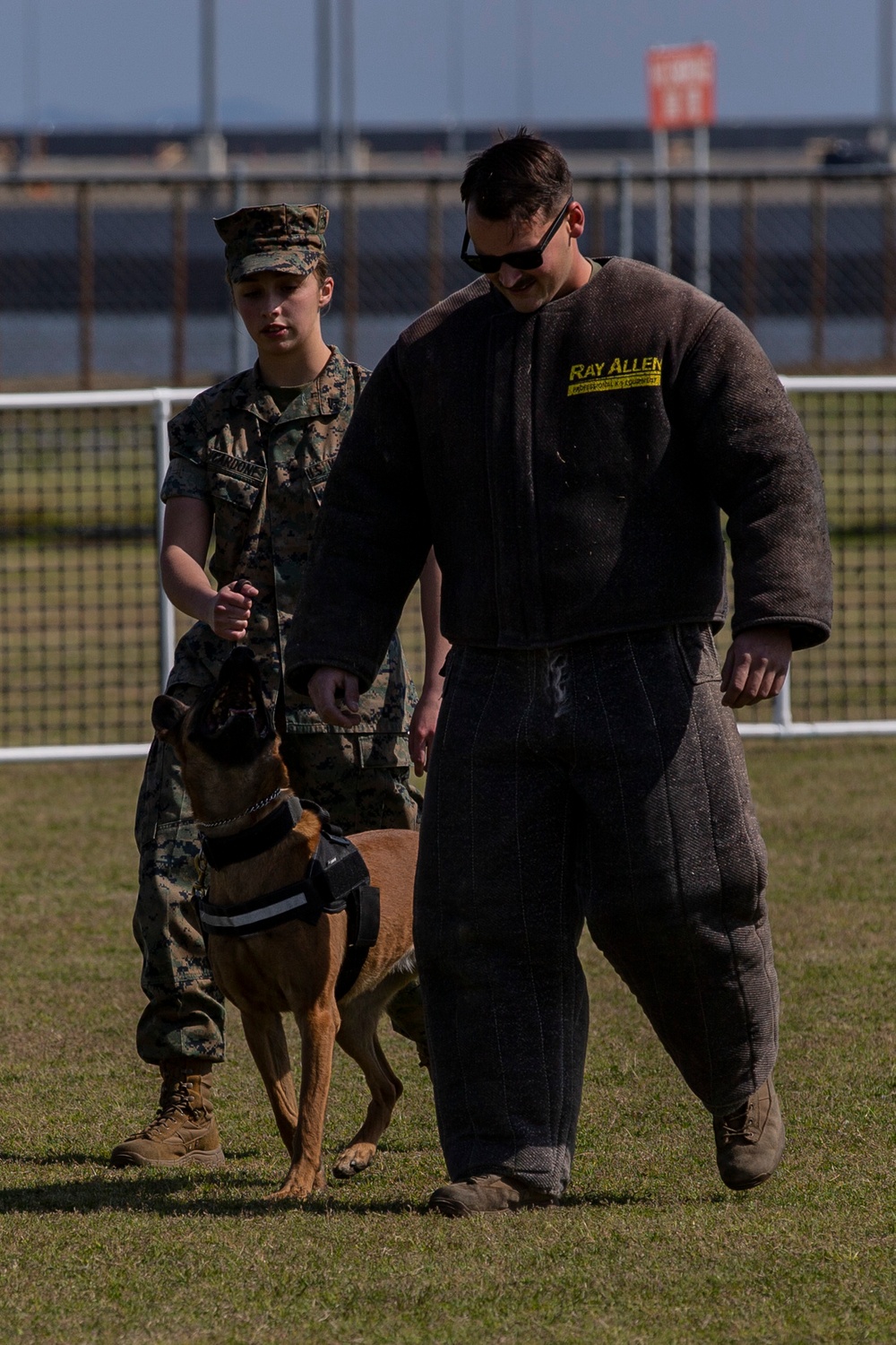 Devil pups; MAG-12 hosts junior recruit day