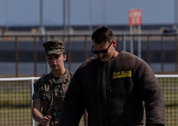 Devil pups; MAG-12 hosts junior recruit day