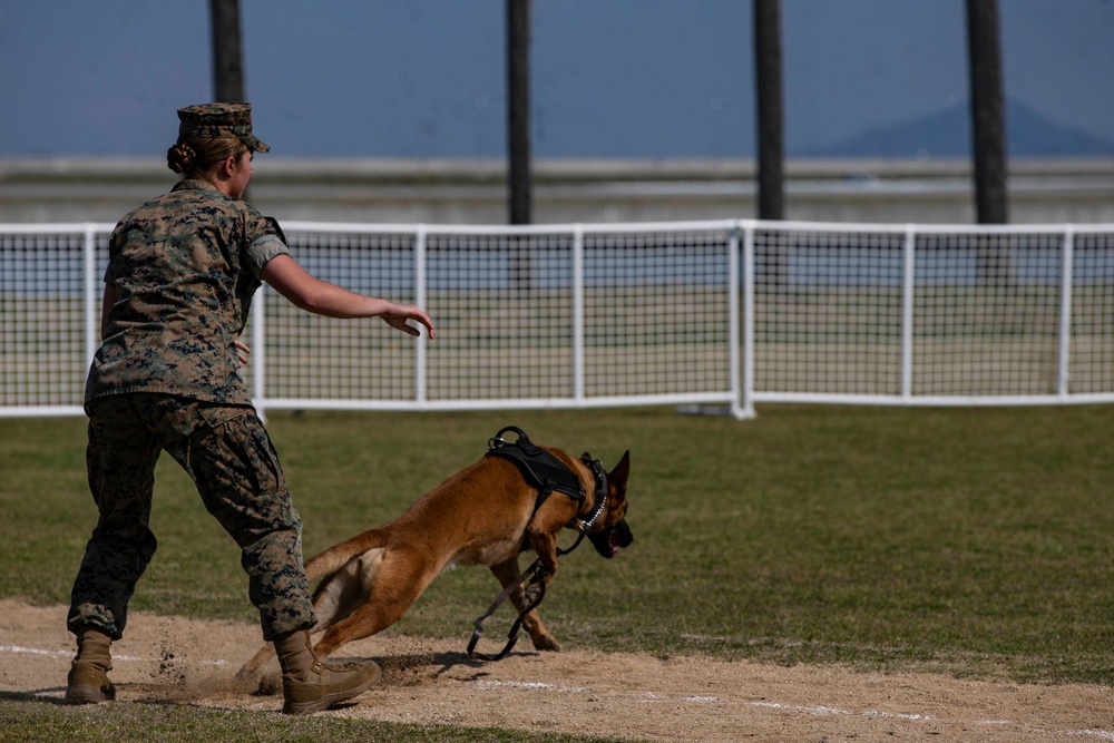 Devil pups; MAG-12 hosts junior recruit day