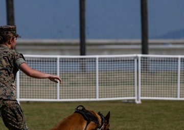 Devil pups; MAG-12 hosts junior recruit day