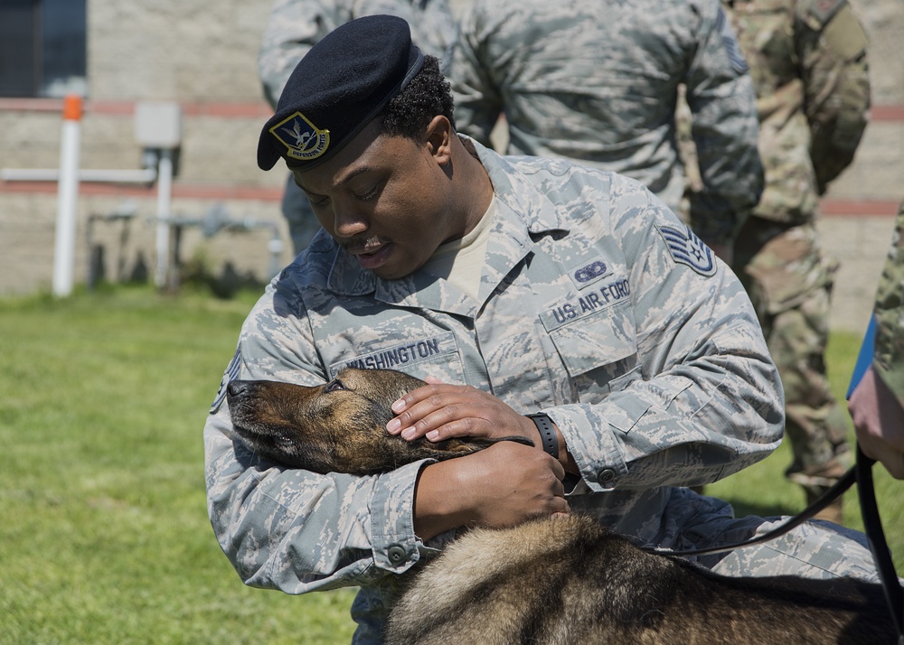 Three Military Working Dogs retire from Vandenberg