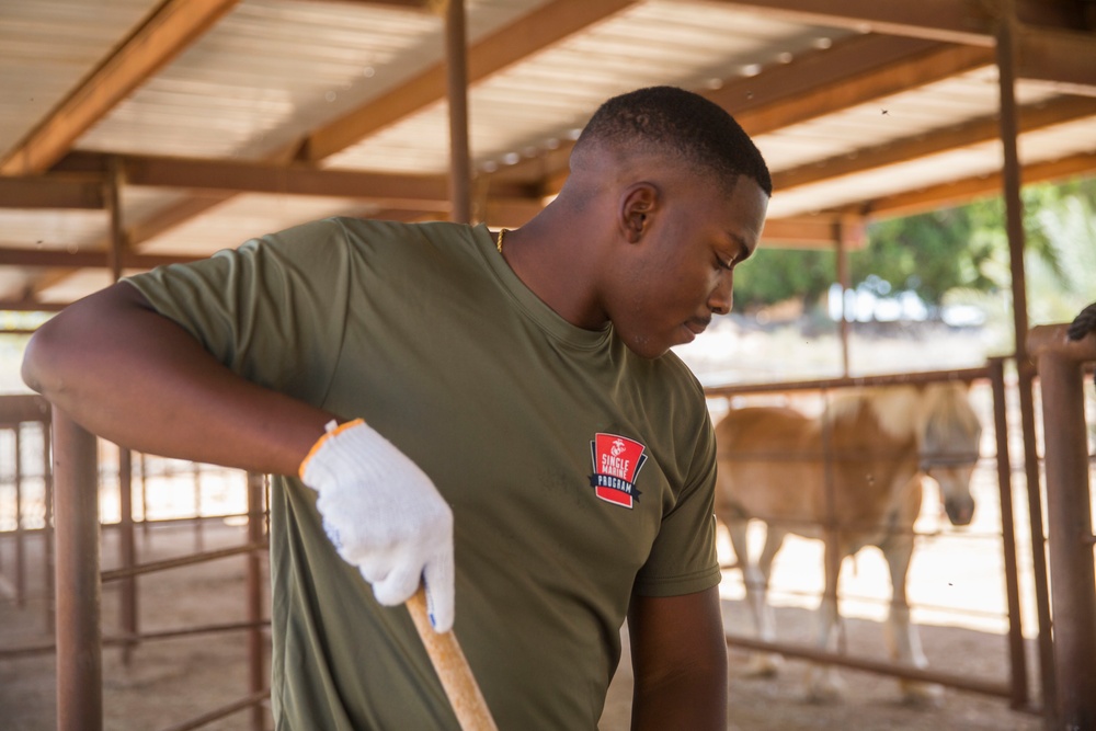 Days of Service: Marines volunteer at Saddles of Joy