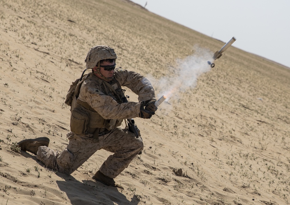 1st Battalion, 2nd Marine Regiment Combined Arms Live Fire Exercise