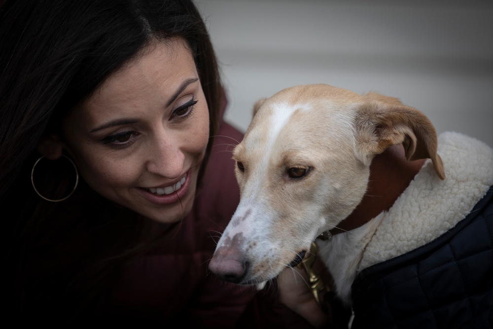 Airman adopts dog while deployed