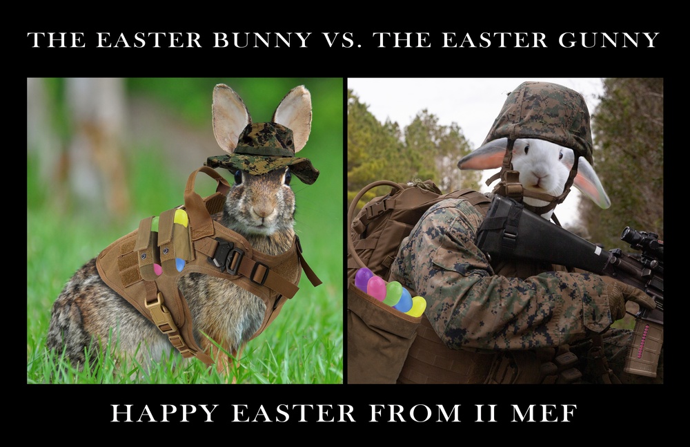 The Easter Bunny VS. The Easter Gunny