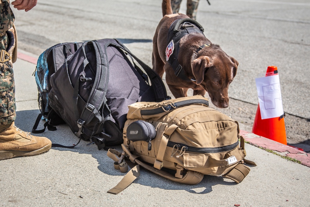 Non-Combatant Evacuation Operation