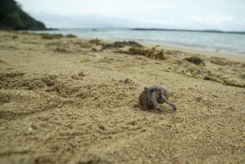 31st MEU Marines add muscle for Kanna Beach clean-up with SMP