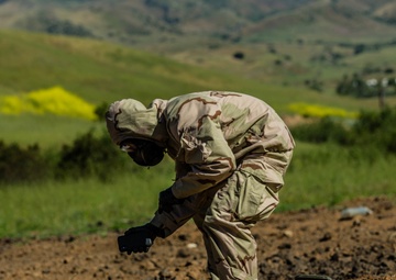 1st Explosive Ordnance Disposal Company and Chemical, Biological, Radiological, Nuclear Field Exercise