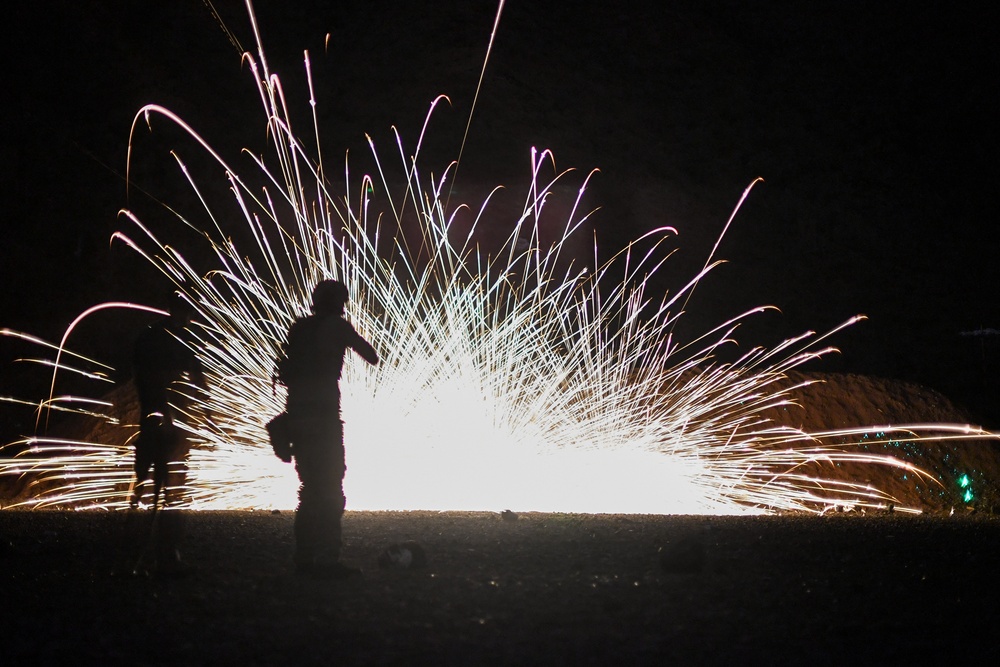 Camp Lemonnier EOD Conducts Night Shoot
